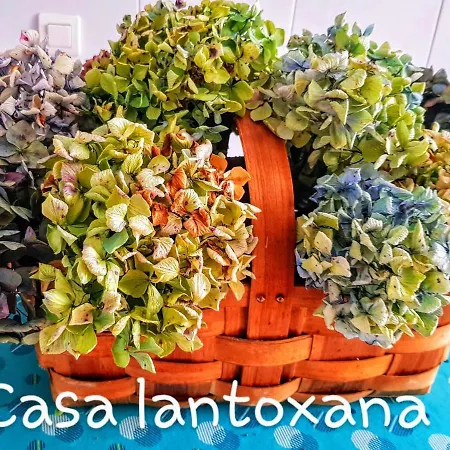 Casa Lantoxana Apartment