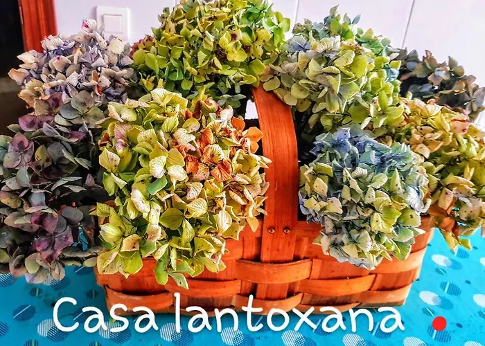 Piso Completo 5 Personas En Casa Lantoxana Appartement